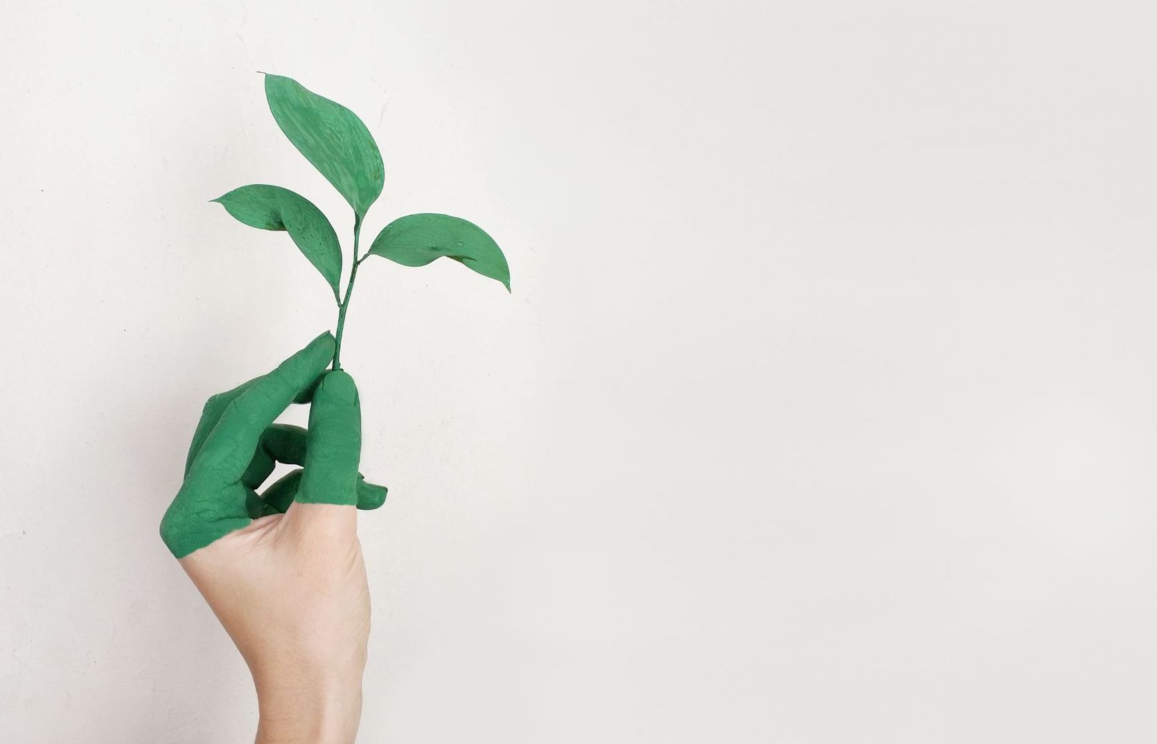 12 Garden ottiene la certificazione UNI ISO 20121:2012